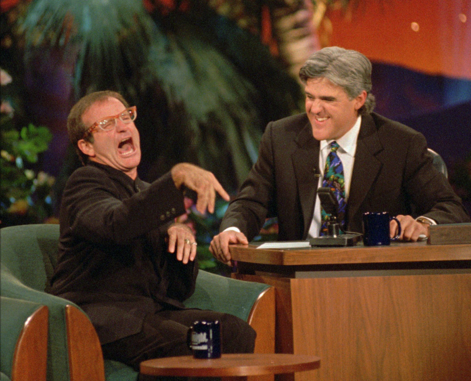 Robin Williams, 1995